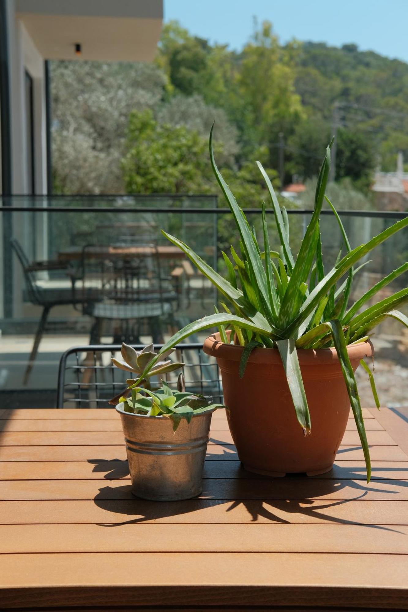 Kaktus Suites Kaş Kültér fotó