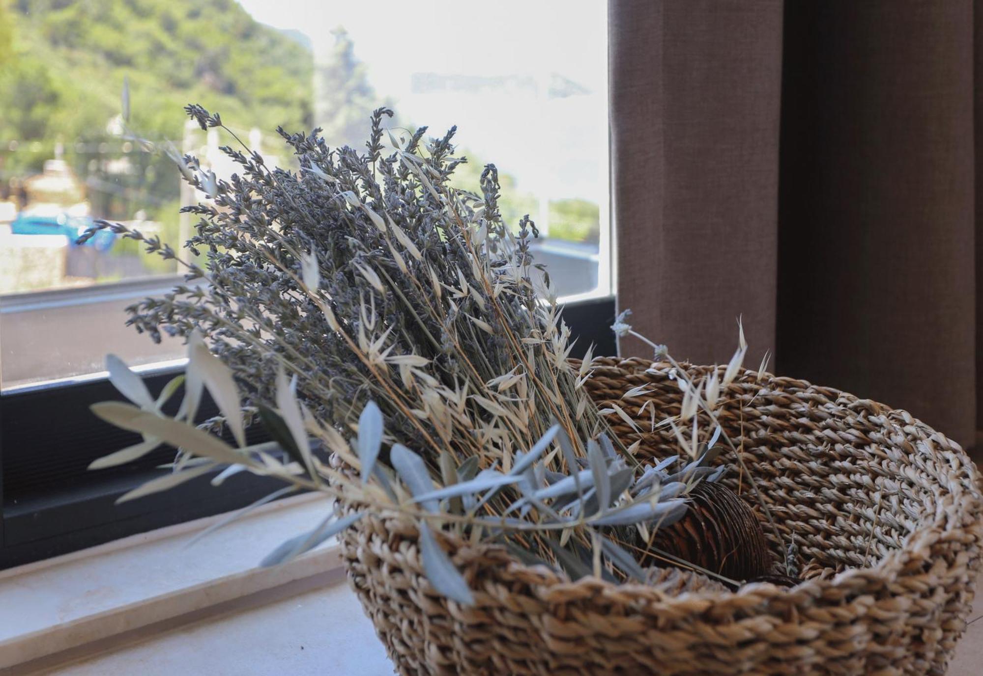 Kaktus Suites Kaş Kültér fotó